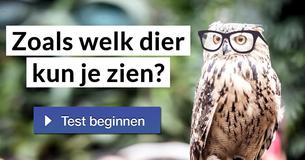 Zoals welk dier kun je zien?