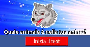 Quale animale è nella tua anima?