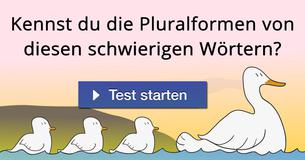 Kennst du die Pluralformen von diesen schwierigen Wörtern?