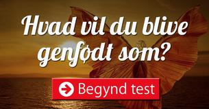 Hvad vil du blive genfødt som?