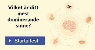 Vilket är ditt mest dominerande sinne?