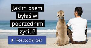 Jakim psem byłaś w poprzednim życiu?