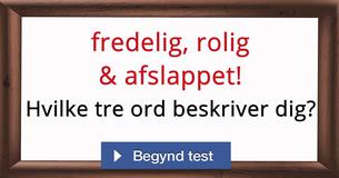 Hvilke tre ord beskriver dig?
