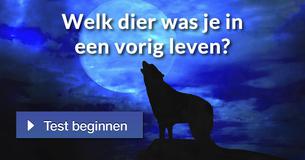 Welk dier was je in een vorig leven? 