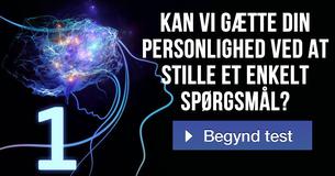 Kan vi gætte din personlighed ved at stille et enkelt spørgsmål?