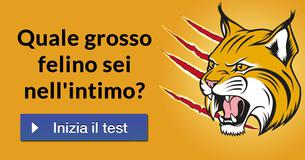 Quale grosso felino sei nell'intimo?