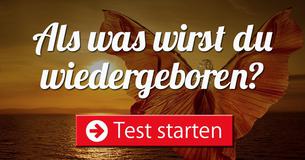 Als was wirst Du wiedergeboren?