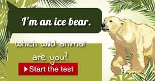 Which wild animal are you?