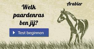 Welk paardenras ben jij?