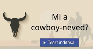 Mi a cowboy-neved?