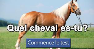 Quel cheval es-tu?