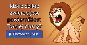Które dzikie zwierzę jest powiernikiem Twojej duszy?