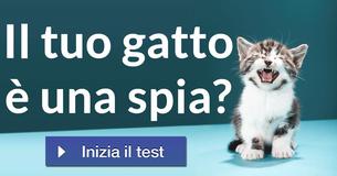 Il tuo gatto è una spia?