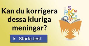 Kan du korrigera dessa kluriga meningar?
