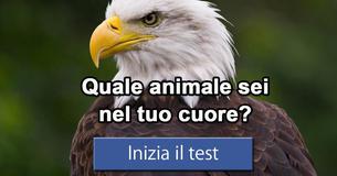Quale animale sei nel tuo cuore?