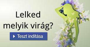 Lelked melyik virág?
