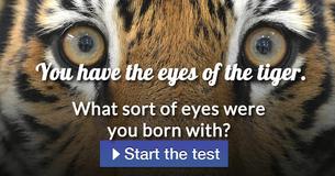 What sort of eyes were you born with?