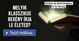 Melyik klasszikus regény írja le életed?
