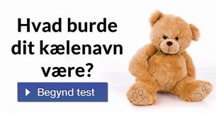 Hvad burde dit kælenavn være?