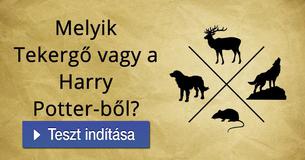 Melyik Tekergő vagy a Harry Potter-ből?   