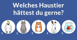Wer ist Dein TV Ehemann?