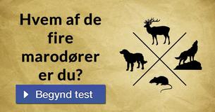 Hvem af de fire marodører er du?