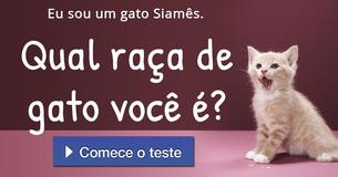 Qual raça de gato você é?