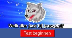 Welk dier past bij jouw ziel? 