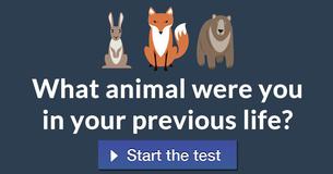 What animal were you in your previous life?