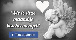 Wie is deze maand je beschermengel?
