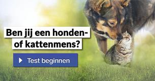 Ben jij een honden- of kattenmens?