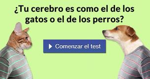 ¿Tu cerebro es como el de los gatos o el de los perros?