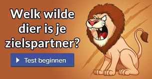 Welk wilde dier is je zielspartner?