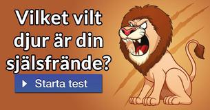 Vilket vilt djur är din själsfrände?