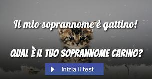 Qual è il tuo soprannome carino? 
