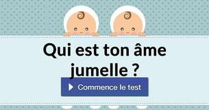 Qui est ton âme jumelle ?