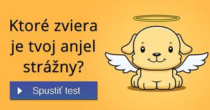 Ktoré zviera je tvoj anjel strážny?