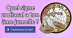 Quel signe zodiacal a ton âme jumelle ?