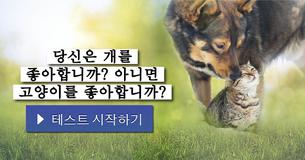 당신은 개를 좋아합니까? 아니면 고양이를 좋아합니까?