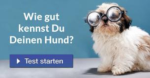 Wie gut kennst Du Deinen Hund?