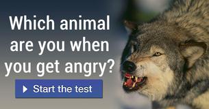 Which animal are you when you get angry?