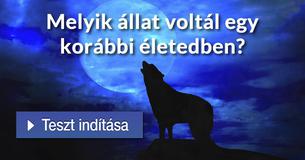 Melyik állat voltál egy korábbi életedben?