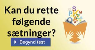 Kan du rette følgende sætninger?