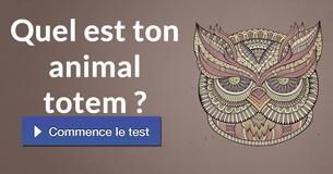 Quel est ton animal totem ?