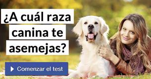 ¿A cuál raza canina te asemejas?
