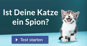 Ist Deine Katze ein Spion?