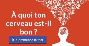 À quoi ton cerveau est-il bon ?