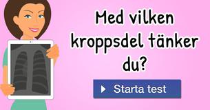 Med vilken kroppsdel tänker du?