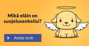 Mikä eläin on suojelusenkelisi?