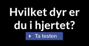 Hvilket dyr er du i hjertet?